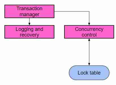 The Database Management System-1703757406734